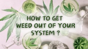 How to Get Weed Out of Your System Fast?